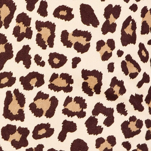 Zbliżenie na wzór Leopard